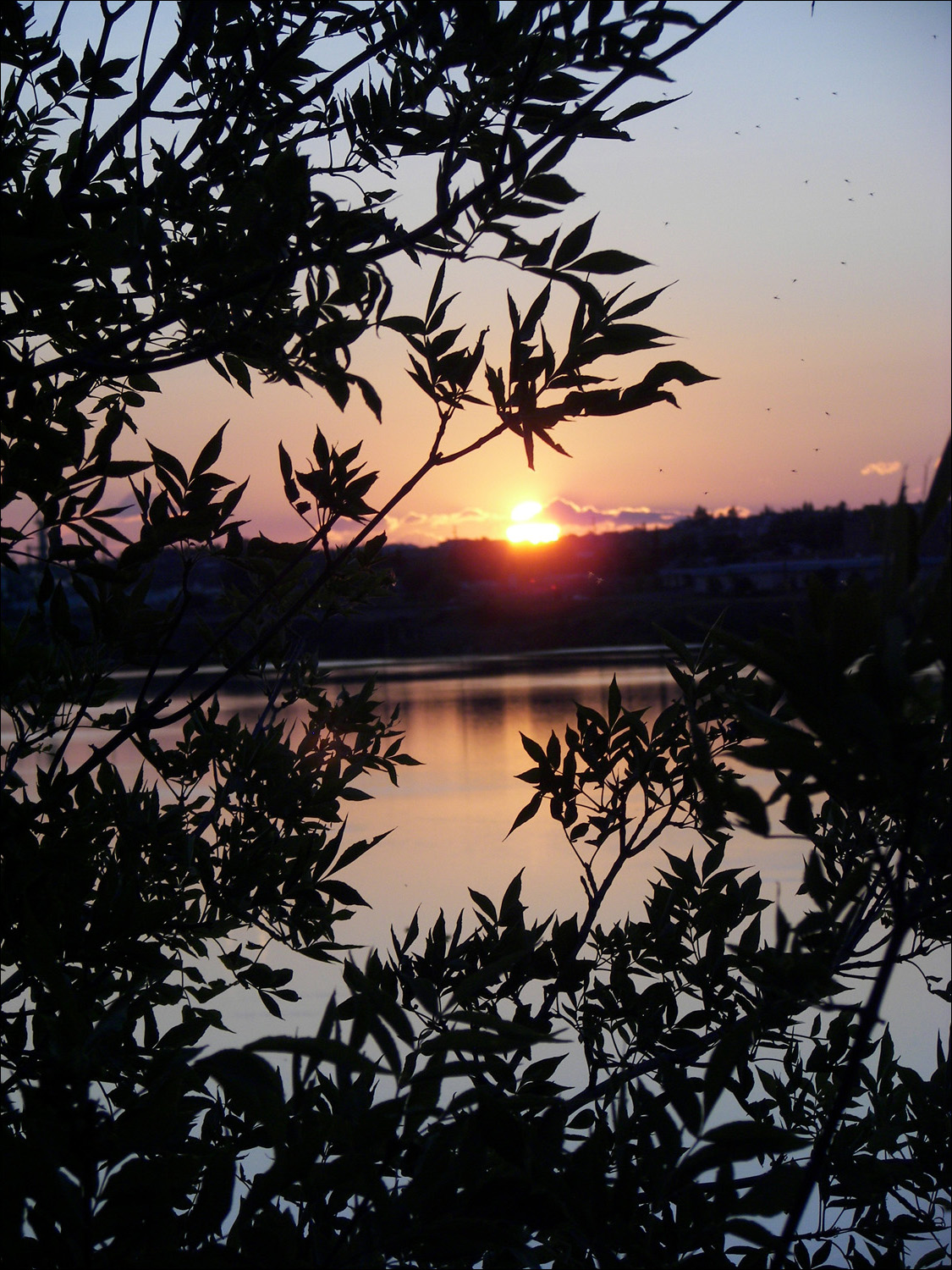 Great Falls, MT- Sunset